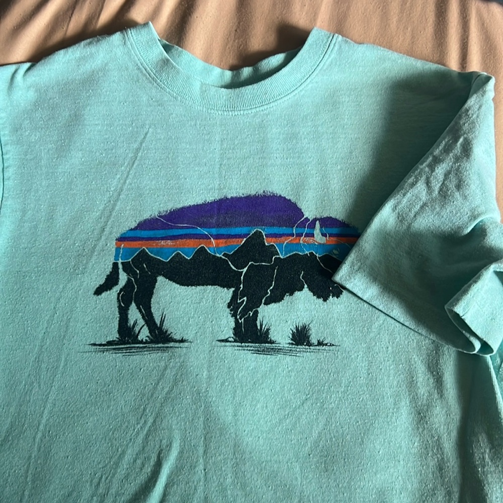 Patagonia Tee